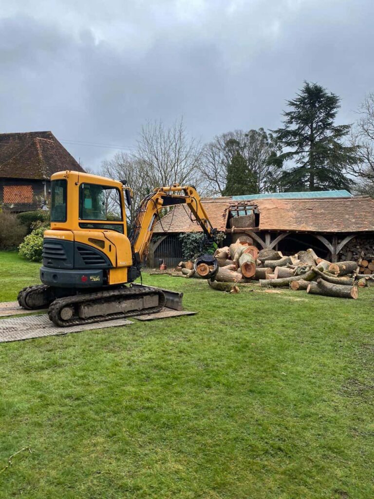 This is a photo of a tree which has grown through the roof of a barn that is being cut down and removed. There is a digger that is removing sections of the tree as well. West Bridgford Tree Surgeons