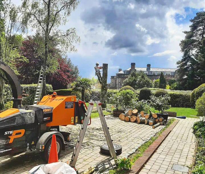 This is a photo of a tree being felled. A tree surgeon is currently removing the last section, the logs are stacked in a pile. West Bridgford Tree Surgeons