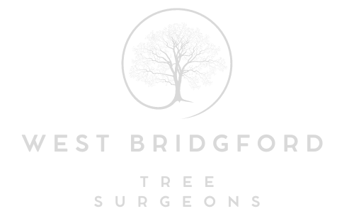 West Bridgford Tree Surgeons
